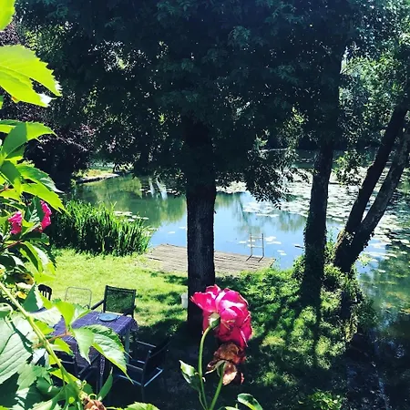 Detente Assuree Au Moulin De Papalis Ribérac